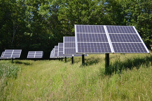 solar panels in a field